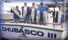 Chubasco fishing Clearance